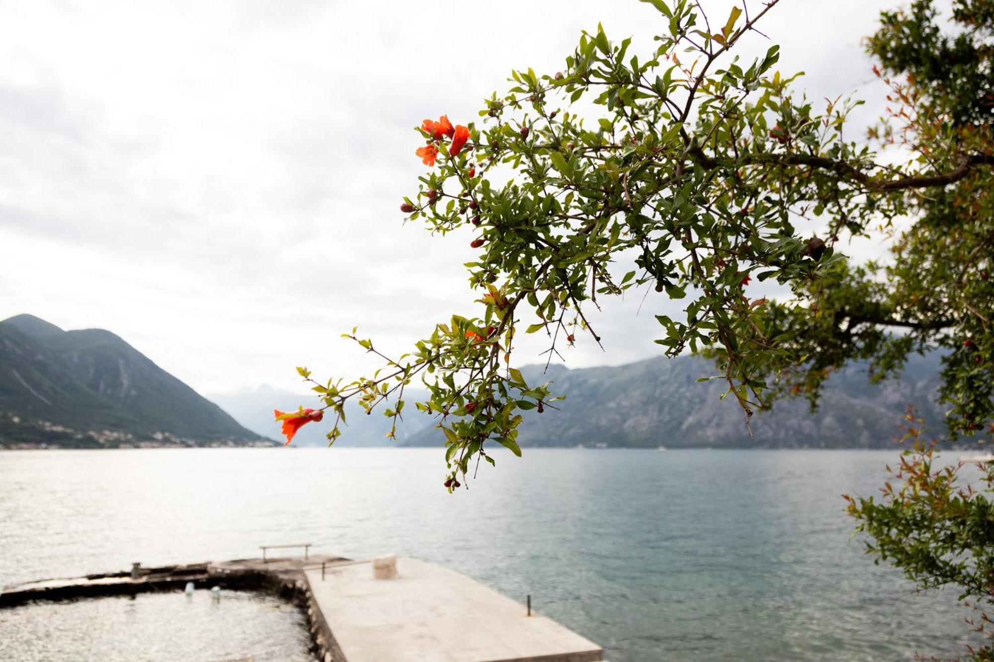Djurovic Kotor